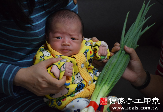 林寶寶(南投草屯到府嬰兒寶寶滿月剃頭理髮、免費到府嬰兒剃胎毛儀式吉祥話)。到府剃頭剃胎毛主持、專業拍照、DVD光碟、證書。★購買「臍帶章、肚臍章、胎毛筆刷印章」贈送：剃頭、收涎、抓周，三選一。2015.12.08 照片10